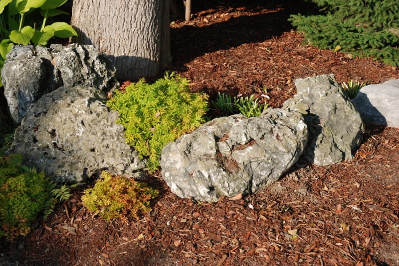Mossy Rock (Boulders)