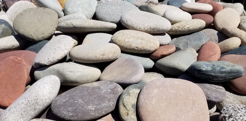 Navajo Skippers (4-7in)