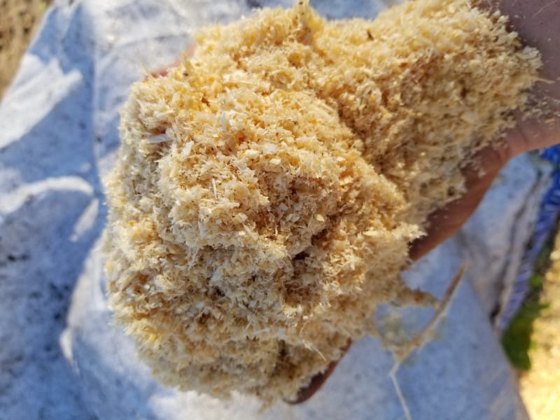 Sawdust for Animal Bedding