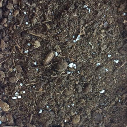 Lambert Peat EMP-20 All Purpose Mix