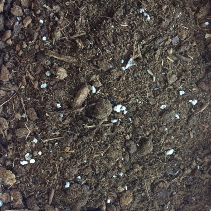 Lambert Peat EMP-20 All Purpose Mix