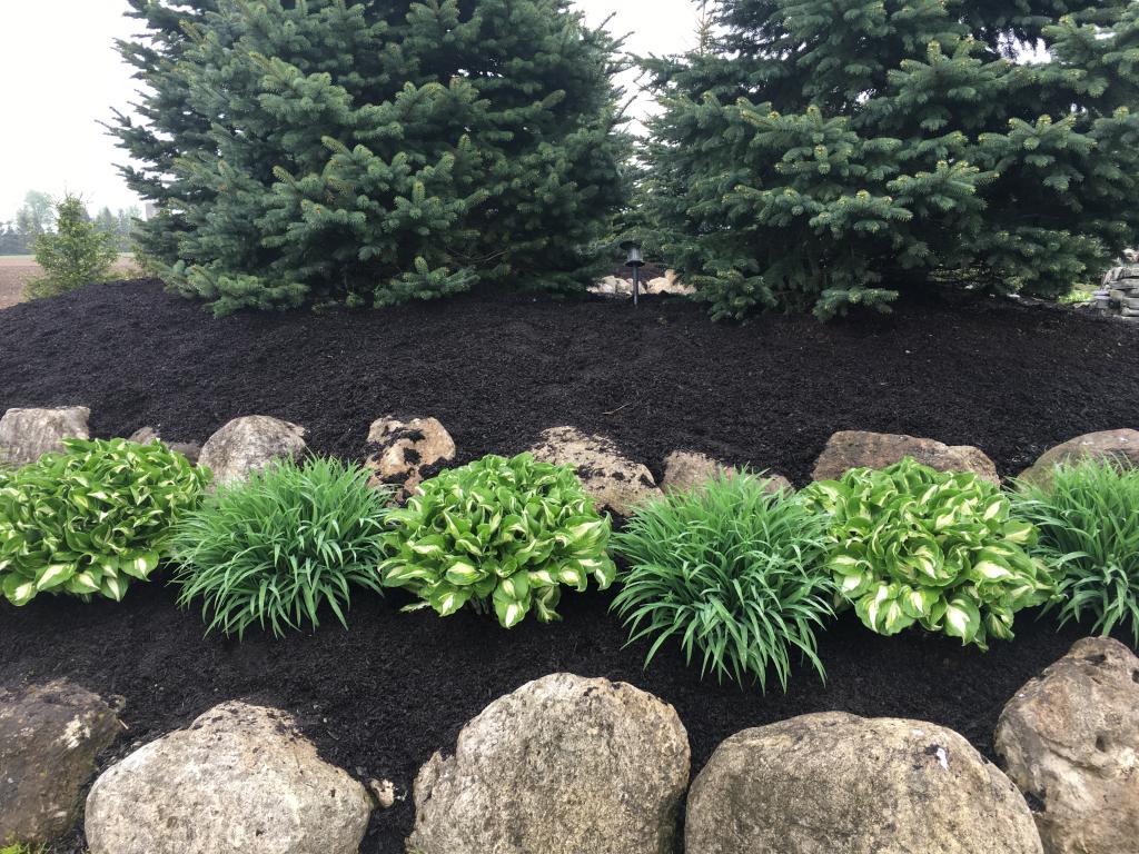 Compost Hero Image