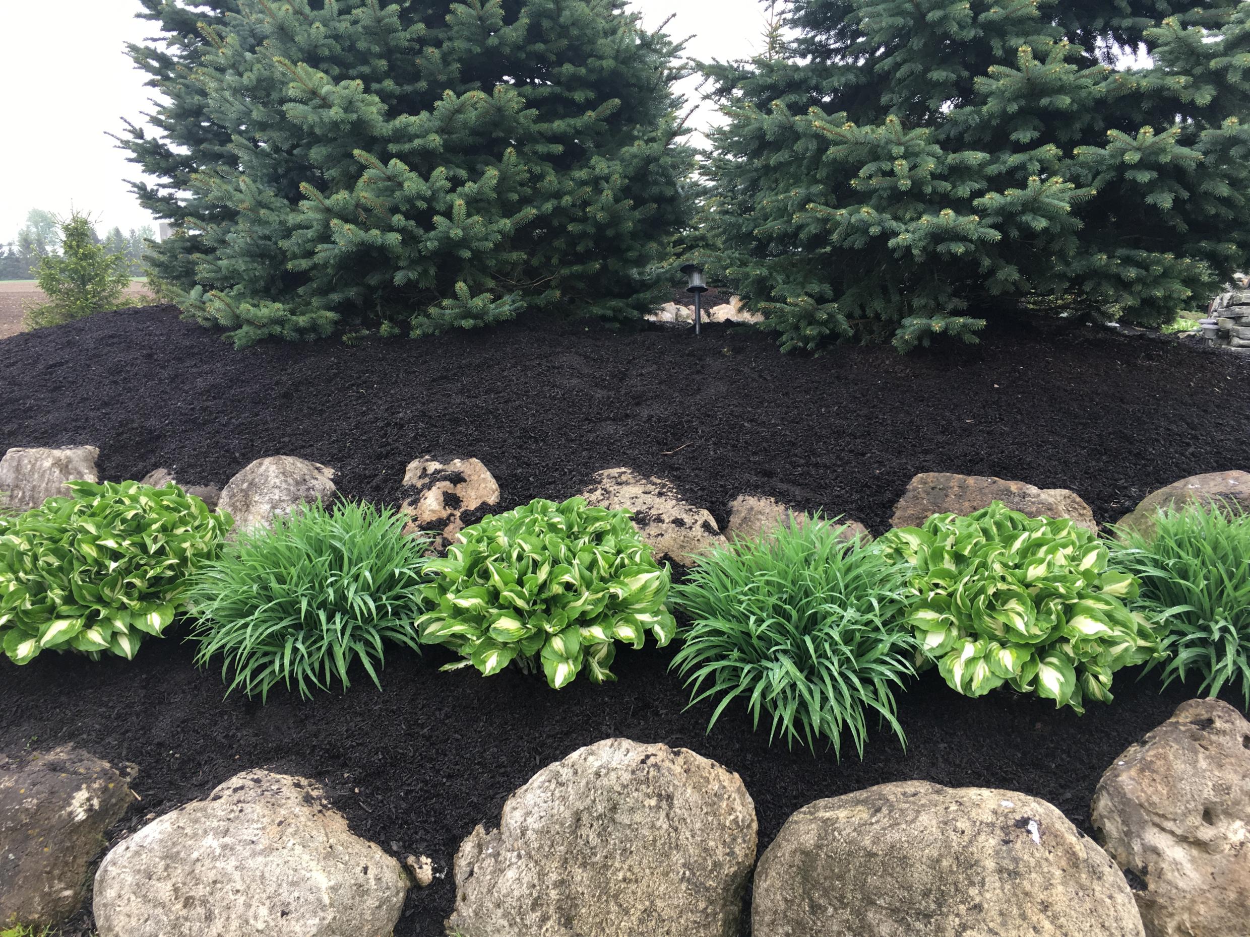 Compost Hero Image