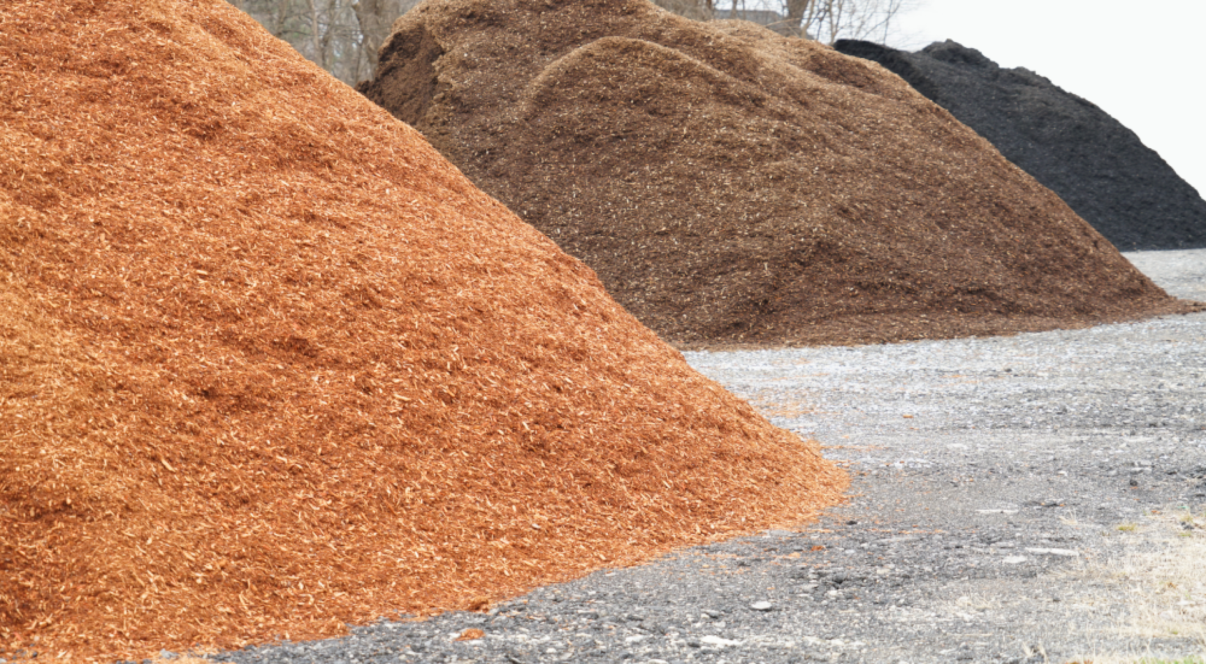 Coloured Mulch Hero Image