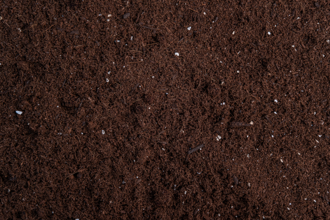 View image 2 of Potting Soil