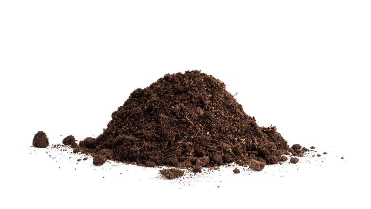 Potting Soil