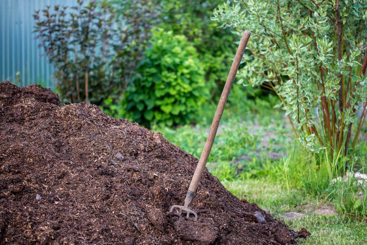 Aged Manure