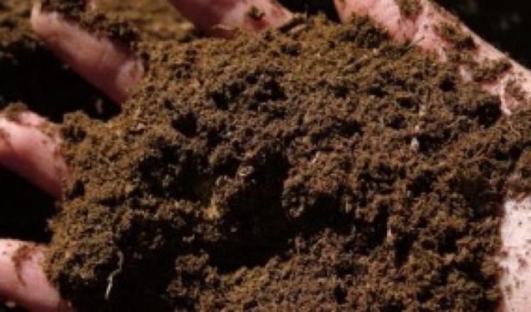 Screened Peat
