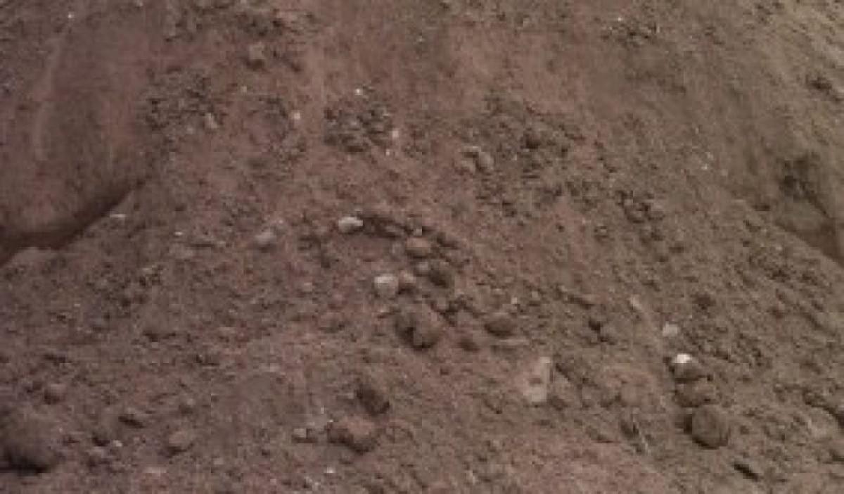 Unscreened Topsoil