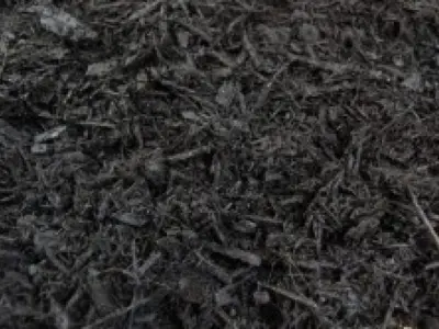 Black Mulch
