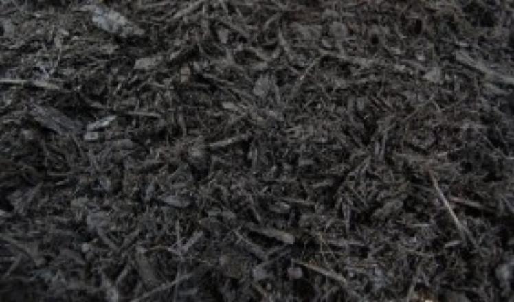 Black Mulch