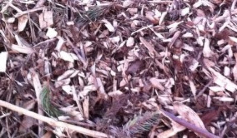 Rough Mulch