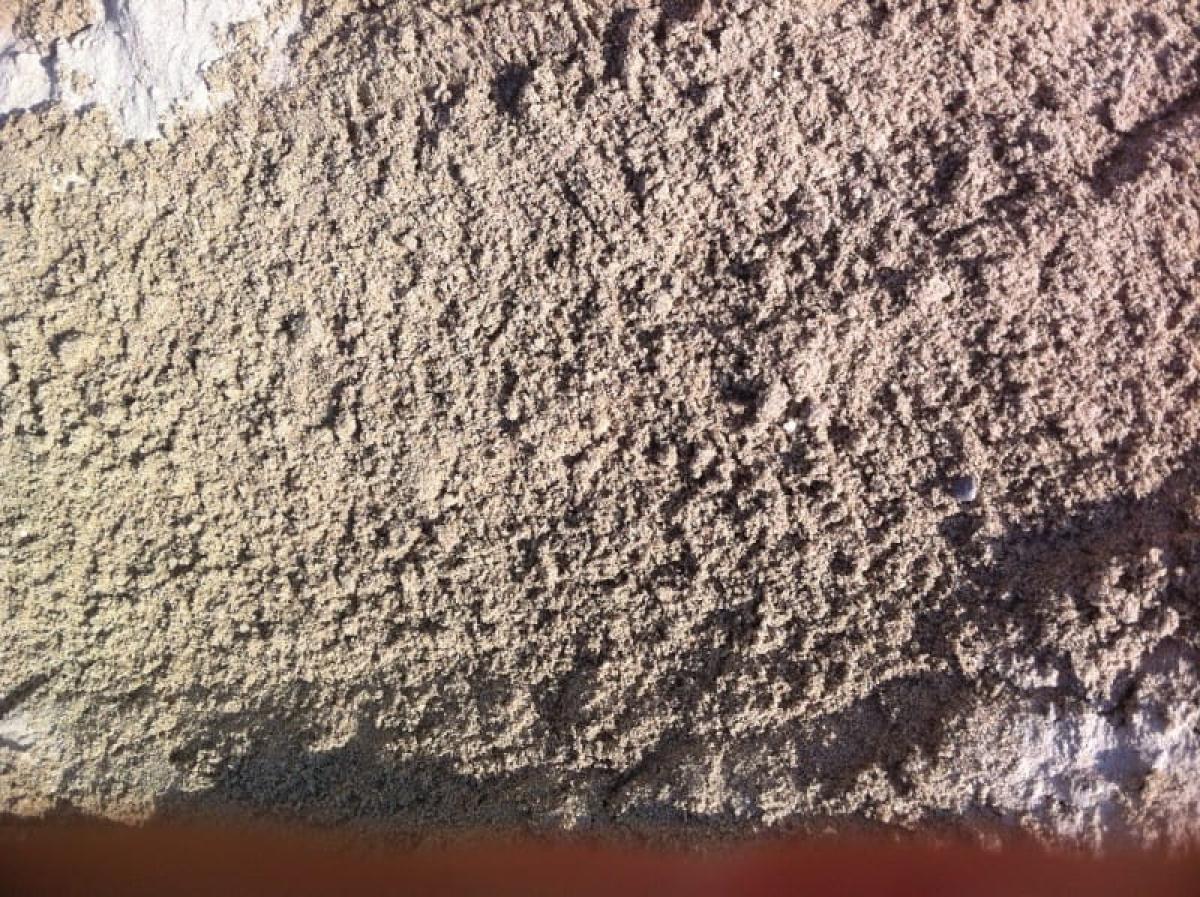Screened Sand