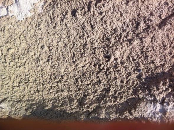 Screened Sand