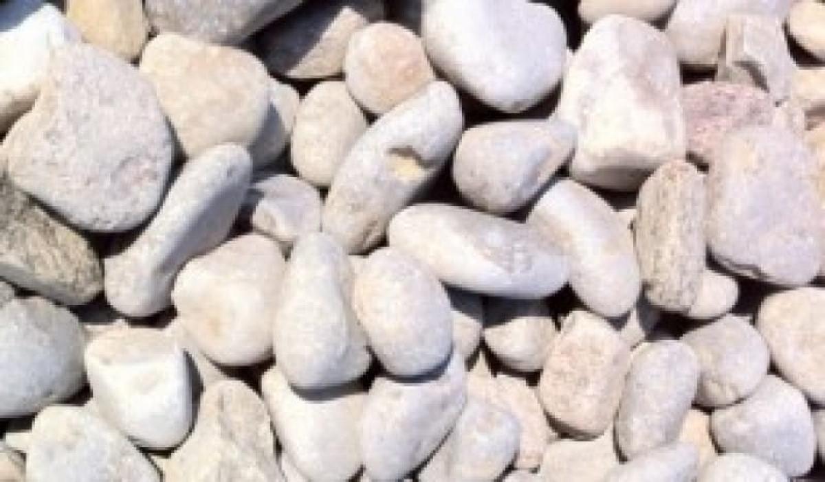 Septic Stone