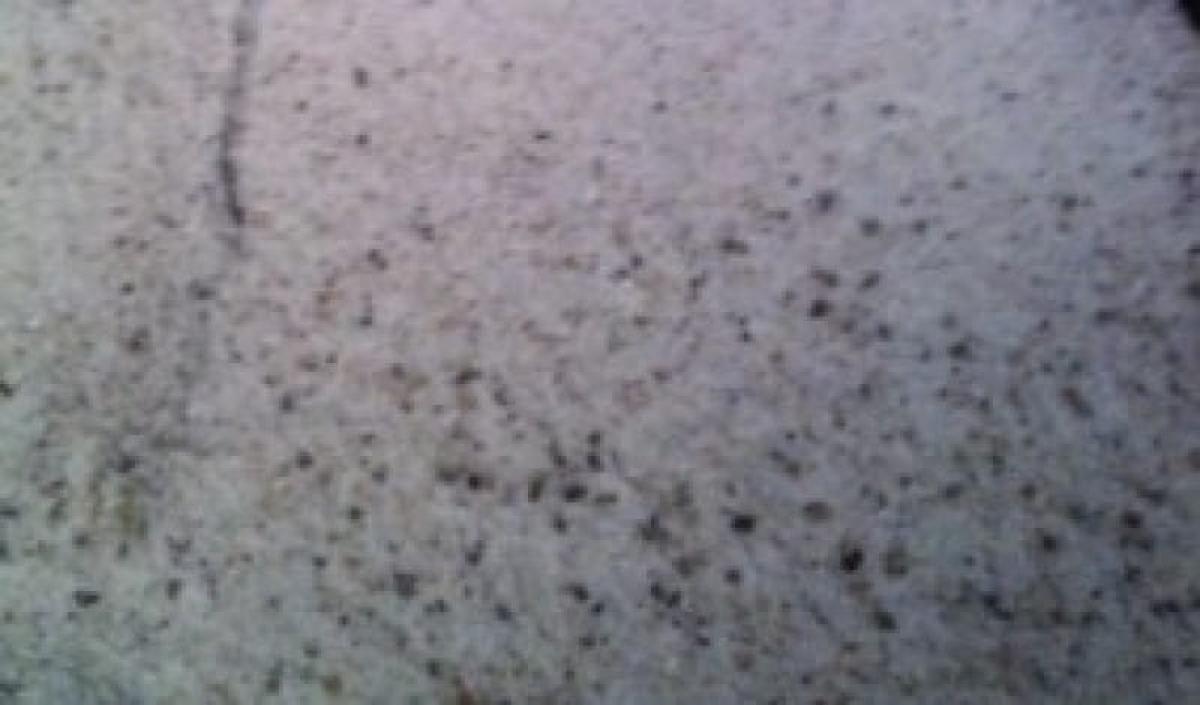 Winter Rock Salt