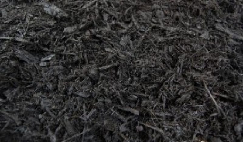 Black Pine Mulch